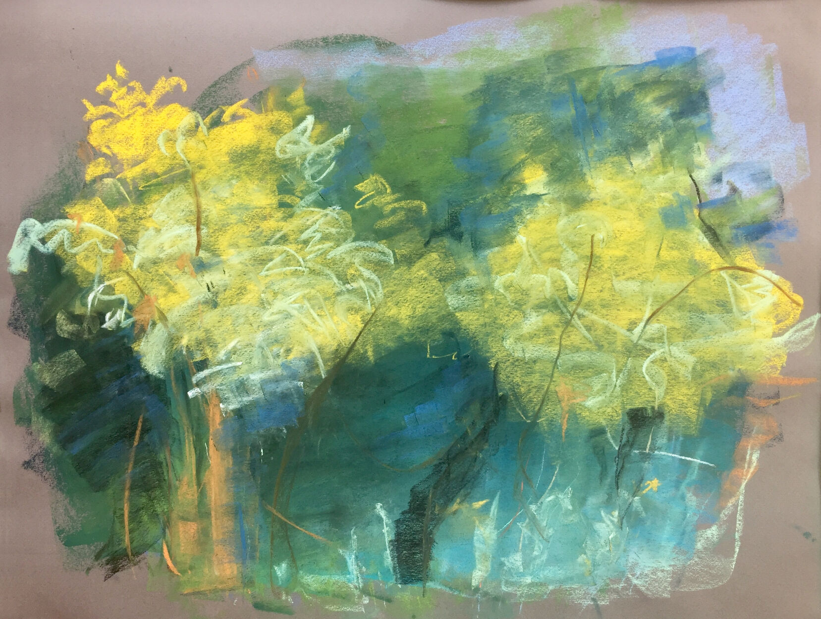Trees and light copy.jpg